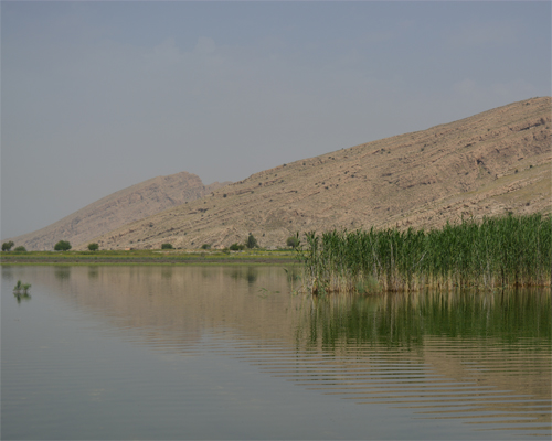 Arjan and Parishan wetlands
